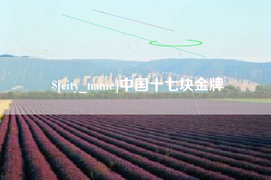 海口中国十七块金牌