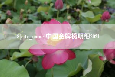 海口中国金牌榜明细2021