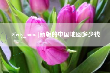海口新版的中国地图多少钱