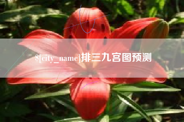 海口排三九宫图预测