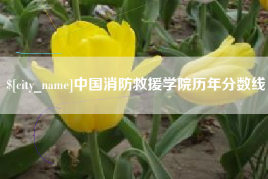 海口中国消防救援学院历年分数线