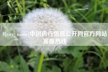 海口中国执行信息公开网官方网站客服热线