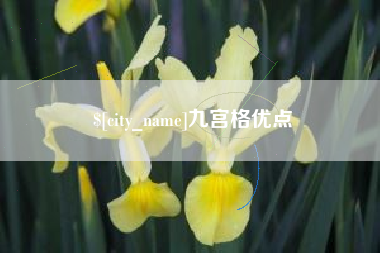 海口九宫格优点