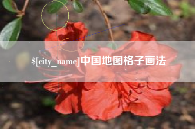 海口中国地图格子画法