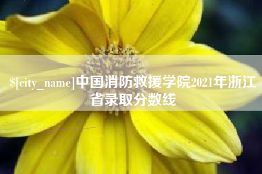 海口中国消防救援学院2021年浙江省录取分数线