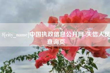 海口中国执政信息公开网-失信人员查询页
