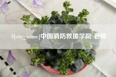 海口中国消防救援学院 老师