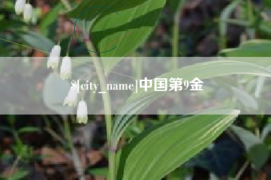 海口中国第9金