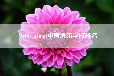 海口中国消防学校排名