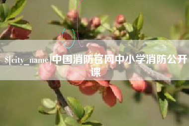 海口中国消防官网中小学消防公开课