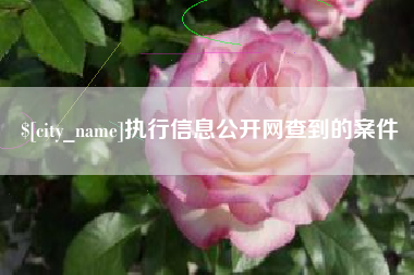 海口执行信息公开网查到的案件
