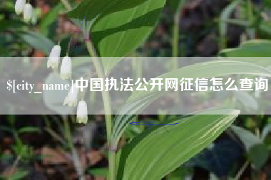 海口中国执法公开网征信怎么查询