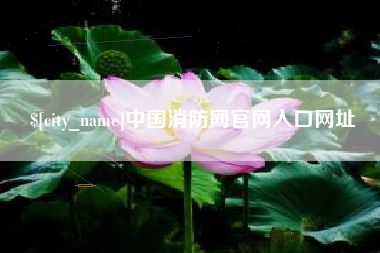 海口中国消防网官网入口网址