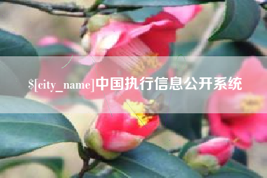 海口中国执行信息公开系统