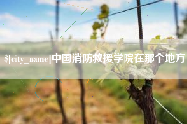 海口中国消防救援学院在那个地方