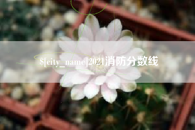 海口2021消防分数线