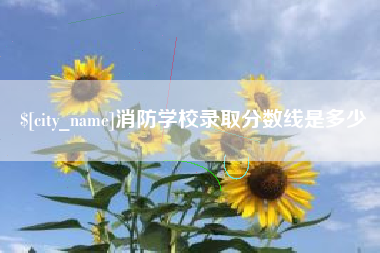 海口消防学校录取分数线是多少