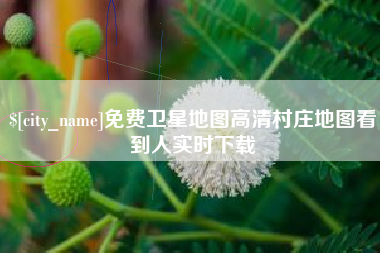 海口免费卫星地图高清村庄地图看到人实时下载