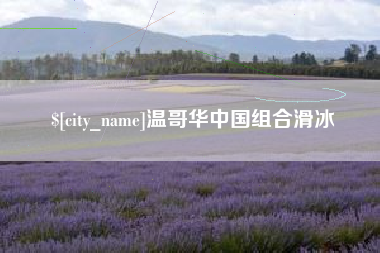 海口温哥华中国组合滑冰