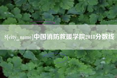 海口中国消防救援学院2018分数线