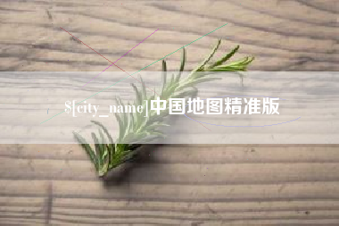 海口中国地图精准版