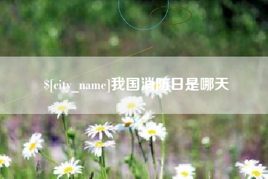 海口我国消防日是哪天