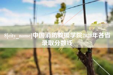 海口中国消防救援学院2020年各省录取分数线