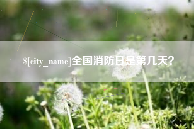 海口全国消防日是第几天？