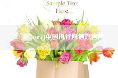 海口中国执行网信息官网