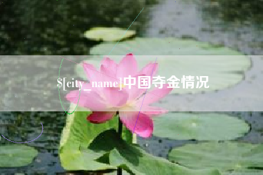 海口中国夺金情况