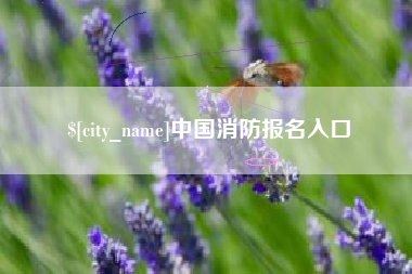 海口中国消防报名入口