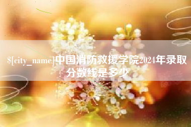 海口中国消防救援学院2024年录取分数线是多少