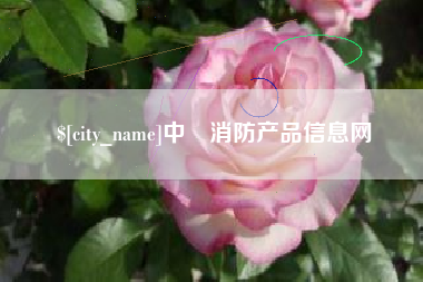 海口中囯消防产品信息网