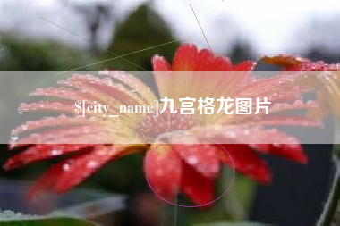 海口九宫格龙图片