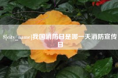 海口我国消防日是哪一天消防宣传日