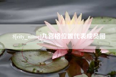 海口九宫格位置代表成员图