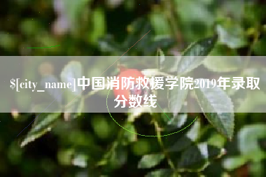 海口中国消防救援学院2019年录取分数线