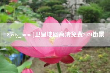 海口卫星地图高清免费2024街景