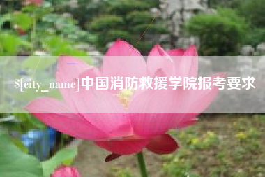 海口中国消防救援学院报考要求