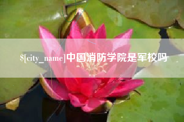 海口中国消防学院是军校吗