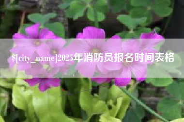 海口2025年消防员报名时间表格