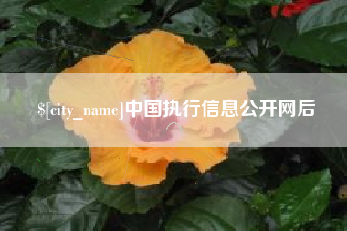 海口中国执行信息公开网后