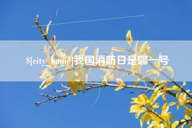 海口我国消防日是哪一号
