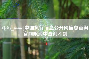 海口中国执行信息公开网信息查询官网限消中查询不到