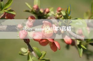 海口2021年9宫格