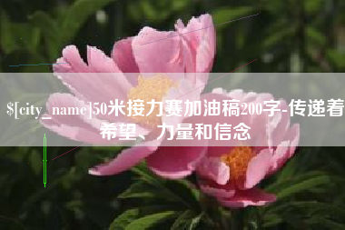 海口50米接力赛加油稿200字-传递着希望、力量和信念
