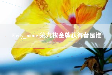海口第九枚金牌获得者是谁
