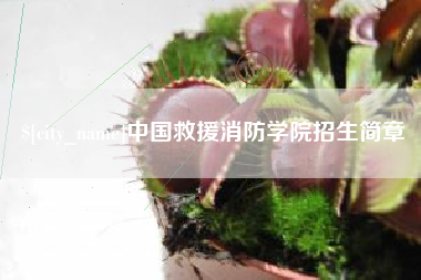 海口中国救援消防学院招生简章