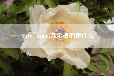 海口九金指的是什么