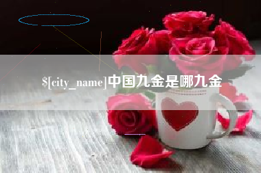 海口中国九金是哪九金